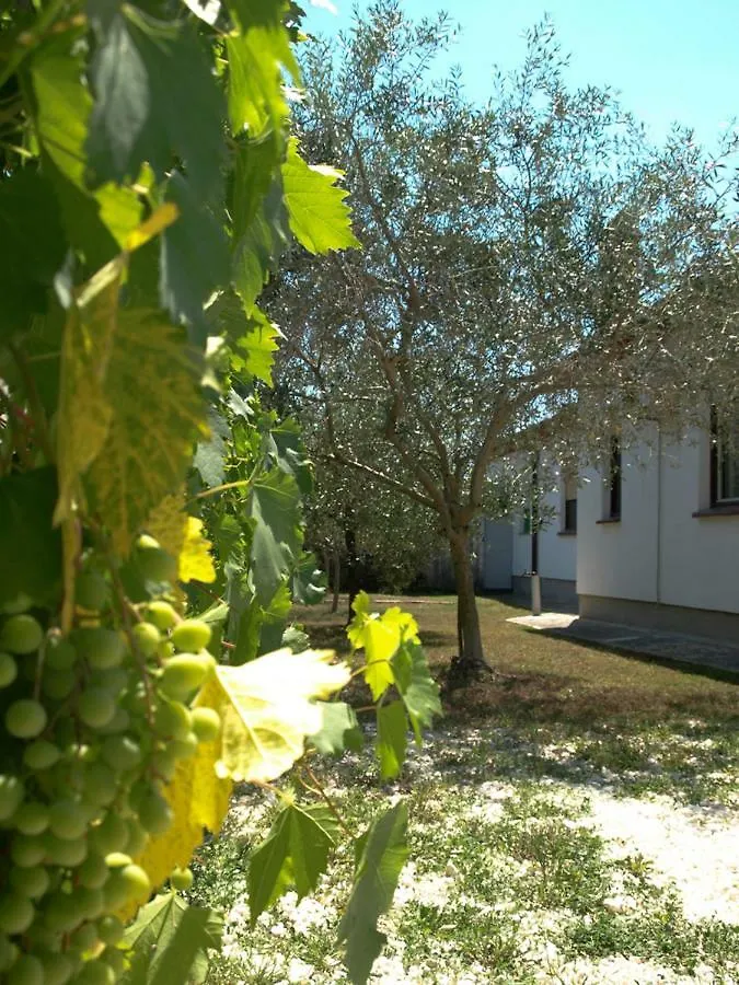 Vacation Apartment With Pool Loborika Kroatien